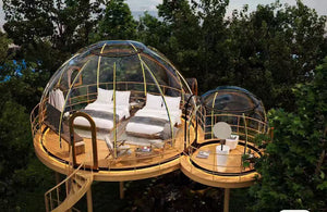 Air B & B elevated transparent pods with beds and seating, offering a luxurious treetop glamping experience in the forest.